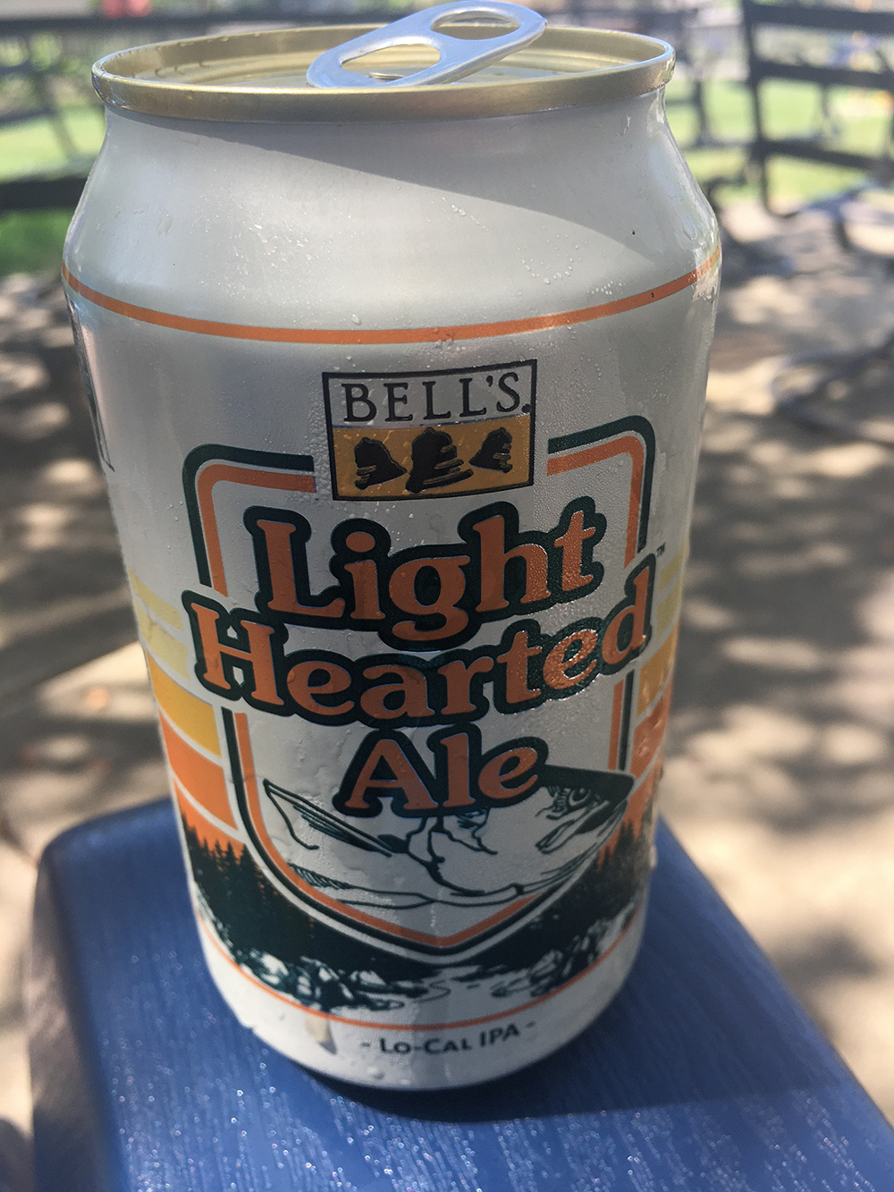 light-beer-that-tastes-great-jennifer-zelazny